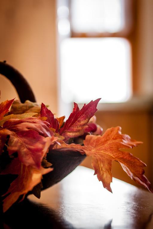 Apartment Colonia Rural Bellmunt de Ciurana